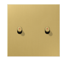 Центральная плата, 1 пост, 2 тумблера, цилиндр с окошком; металлическое исполнение; латунь классик; серия LS  ME12-5KOCR25  Jung