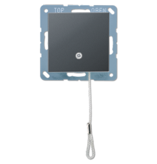 выключатель со шнурком A506BFNUZANM Jung