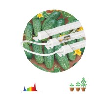 Светильник светодиодный для растений FITO-3х10W-LINE-Ra90 (40)  Б0049315  ЭРА