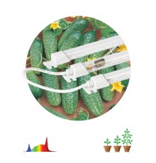 Светильник светодиодный для растений FITO-3х10W-LINE-Ra90 (40)  Б0049315  ЭРА