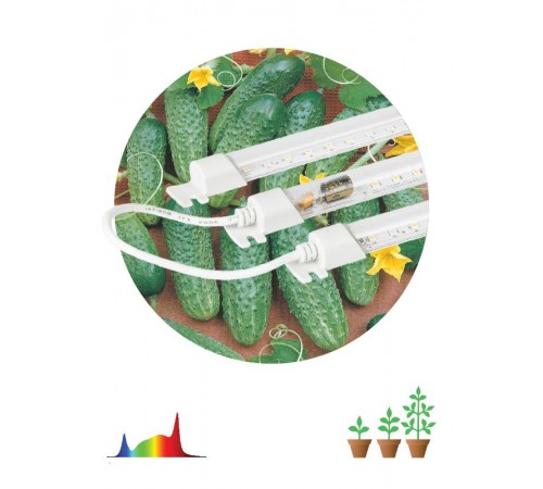 Светильник светодиодный для растений FITO-3х10W-LINE-Ra90 (40)  Б0049315  ЭРА