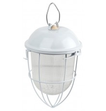 Светильник пылевлагозащищенный под лампу для ЖКХ НСП 02-100-003 с решеткой Желудь сталь / стекло IP54 E27 max 100Вт 170х300 белый  Б0052019  ЭРА