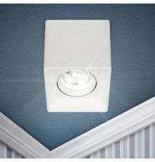 Светильник настенно-потолочный спот OL24-1 WH MR16/GU5.3, белый, поворотный  Б0054381  ЭРА