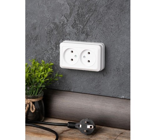 Рим Розетка 2-местная 10А без заземления белая EKF  ENR10-102-10  EKF