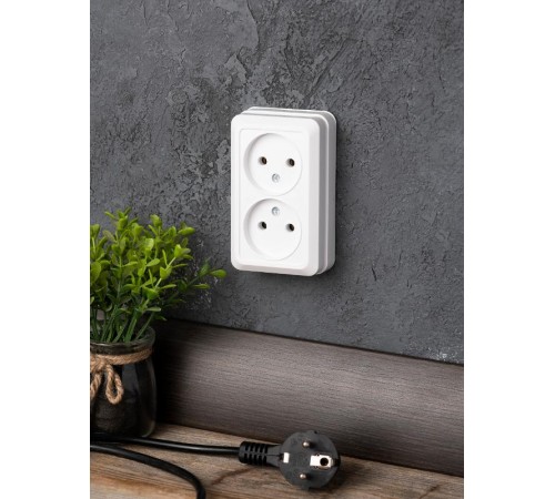 Рим Розетка 2-местная 10А без заземления белая EKF  ENR10-102-10  EKF