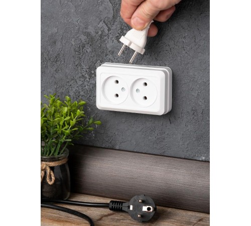 Рим Розетка 2-местная 10А без заземления белая EKF  ENR10-102-10  EKF