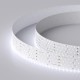 Лента светодиодная RT 2-2500 24V Cool 8K 5x2 (2835, 875 LED, LUX) (arlight, 36 Вт/м, IP20)  019083(1)  Arlight