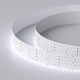 Лента светодиодная RT 2-2500 24V Cool 8K 5x2 (2835, 875 LED, LUX) (arlight, 36 Вт/м, IP20)  019083(1)  Arlight