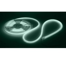 Лента светодиодная термостойкая для бани  LS2835-9,6-120-24-6500K-IP68-3 year-5m (холодный бел.)   Б0062329  ЭРА