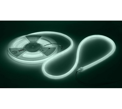 Лента светодиодная термостойкая для бани  LS2835-9,6-120-24-6500K-IP68-3 year-5m (холодный бел.)   Б0062329  ЭРА