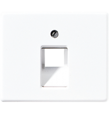 Крышка для одинарных телефонных и компьютерных розеток (UAE), фиксация винтом; металл; белый; SL500  SL569-1UAWW  Jung