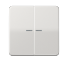 Клавиша для KNX кнопки, 2 группы с окошком; дюропласт; светло-серый  CD102KO5LG  Jung