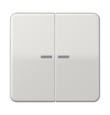 Клавиша для KNX кнопки, 2 группы с окошком; дюропласт; светло-серый  CD102KO5LG  Jung