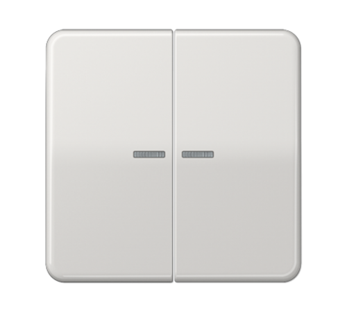 Клавиша для KNX кнопки, 2 группы с окошком; дюропласт; светло-серый  CD102KO5LG  Jung