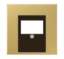 Крышка для ТАЕ и USB розеток, фиксация винтом; металл; латунь classic; Messing  ME2969TC  Jung