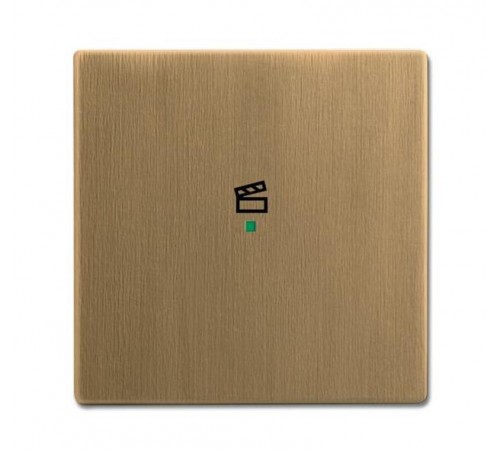 SRS-1-840 Клавиша одинарная free@home, сцена, Династия, латунь античная6220-0-0374 ABB