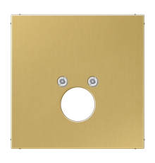 крышка для разъема акустических систем ME2962-1C Jung