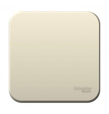 Blanca Молочный О/У Выключатель 1-клавишный, 6А, 250В  BLNVA061002  SE