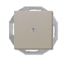 ABB Basic 55 Шампань Заглушка с суппортом  1715-0-0314   2CKA001715A0314  ABB