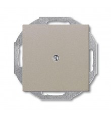 ABB Basic 55 Шампань Заглушка с суппортом  1715-0-0314   2CKA001715A0314  ABB