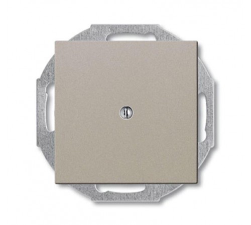 ABB Basic 55 Шампань Заглушка с суппортом  1715-0-0314   2CKA001715A0314  ABB