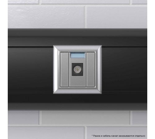 Розетка TV оконечная модульная, "Avanti", "Закаленная сталь", 1 модуль  4404501  DKC