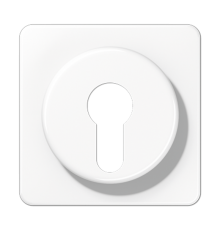 Крышка для выключателя с замком; белая  CD528WW  Jung