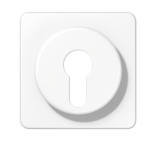 Крышка для выключателя с замком; белая  CD528WW  Jung