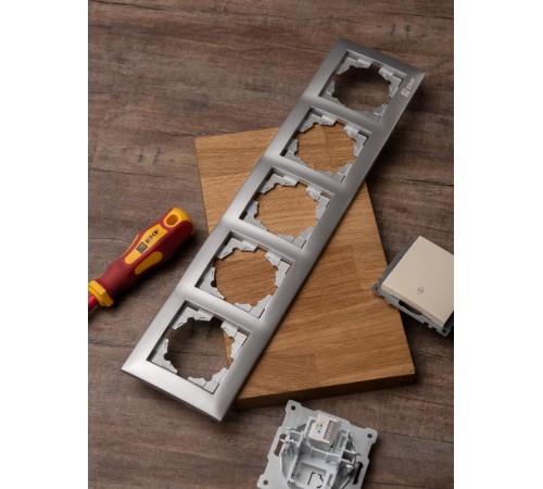 Валенсия Рамка 5-местная сталь  EWM-G-305-30  EKF