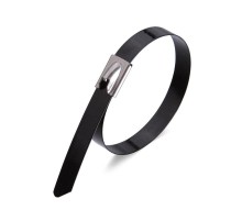 Стяжки стальные СКС-П (304) 4,6х200 (10шт.)  78728  Fortisflex