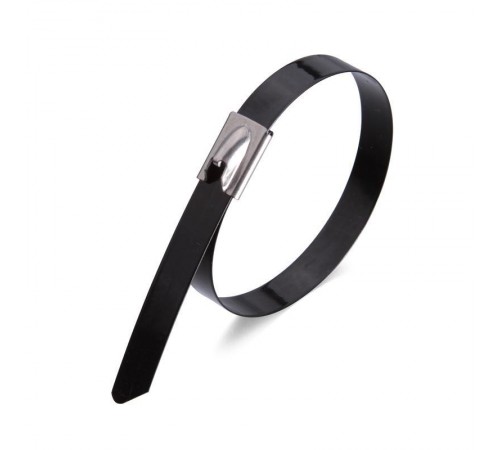 Стяжки стальные СКС-П (304) 4,6х300 (10шт.)  78729  Fortisflex