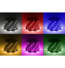 Лента светодиодная  LS5050 -14,4-60-12-RGB+W(6500)-IP20-1 year-5m RGB+холодный белый 5м  Б0059911  ЭРА