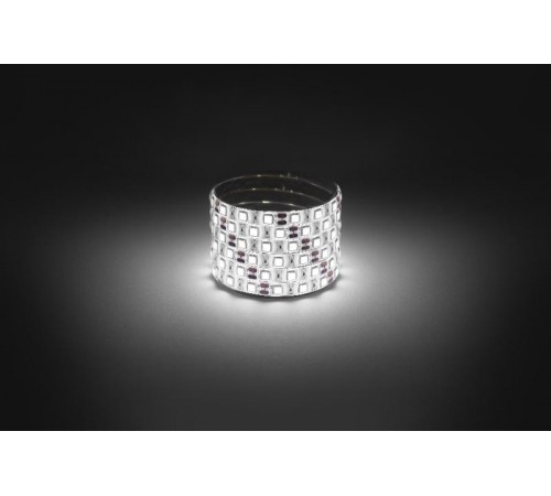 Лента светодиодная  LS5050 -14,4-60-12-4000K-IP65-1 year-5m дневной белый 5м  Б0059913  ЭРА