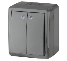 Выключатель 2-клавишный с подсветкой 11-1405-03 IP54, 10АХ-250В, ОУ, Эксперт, Серый (16) Б0020678  ЭРА