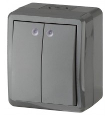Выключатель 2-клавишный с подсветкой 11-1405-03 IP54, 10АХ-250В, ОУ, Эксперт, Серый (16) Б0020678  ЭРА