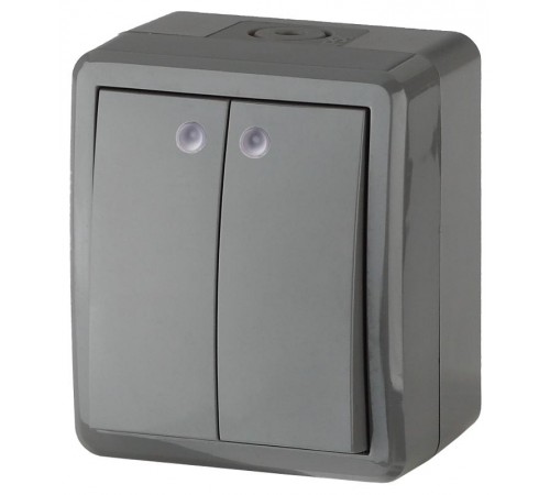 Выключатель 2-клавишный с подсветкой 11-1405-03 IP54, 10АХ-250В, ОУ, Эксперт, Серый (16) Б0020678  ЭРА