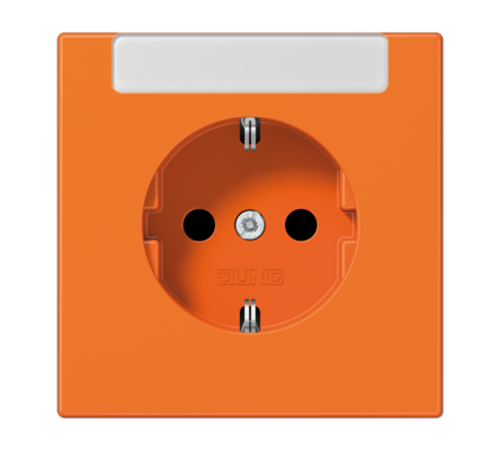 SCHUKO®-розетка 16 A / 250 B ~с дополнительной защитой и полем для надписи LS1520INAO Jung