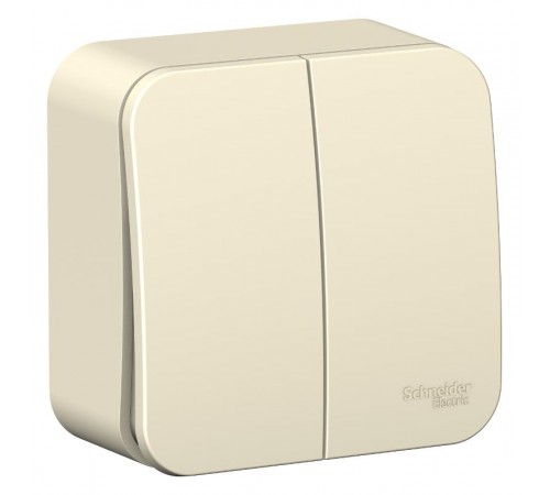 Blanca Молочный О/У Выключатель 2-клавишный, 6А, 250В  BLNVA065002  SE