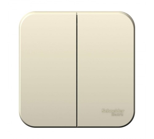 Blanca Молочный О/У Выключатель 2-клавишный, 6А, 250В  BLNVA065002  SE