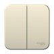 Blanca Молочный О/У Выключатель 2-клавишный, 6А, 250В  BLNVA065002  SE