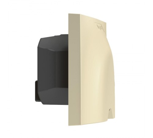 Вывод кабеля Умный Valena Life 14А 230В сл. кость Netatmo  064863  Legrand