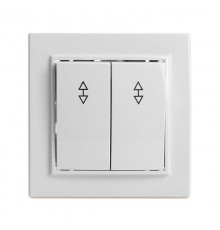 Выключатель (переключатель) электрический 2-клавишный, серия Эрна, PSW10-9005-01, белый  39919  STEKKER