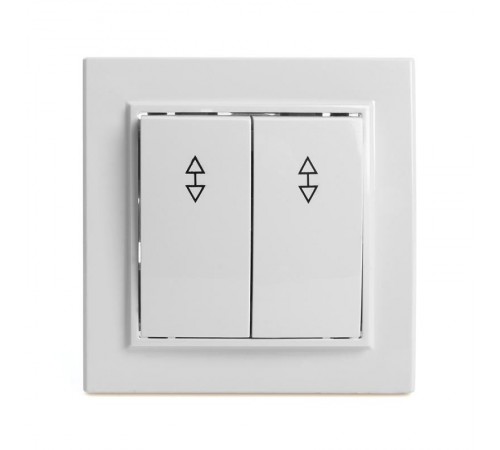 Выключатель (переключатель) электрический 2-клавишный, серия Эрна, PSW10-9005-01, белый  39919  STEKKER