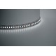 Лента светодиодная LS616, 180SMD(2835)/м 17Вт/м 5м IP20 12V 6500К  41280  Feron