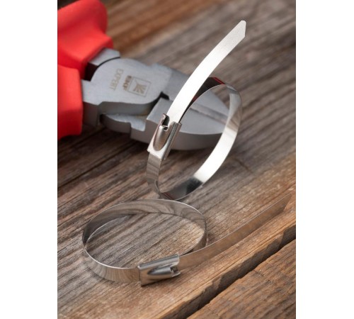 Хомут AISI 304 из нержавеющей стали, 4.6x150 (100 шт.) FlexLock PROximaplc-fl-tss-304-4.6x150EKF