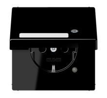 SCHUKO-розетка с крышкой   LS1520NAKLKOSW Jung
