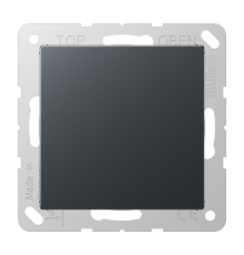 Крышка без отверстий, фиксация защёлкиванием, для произвольных вырезов (либо использование в качестве заглушки), возможно IP44; термопласт; матовый ан