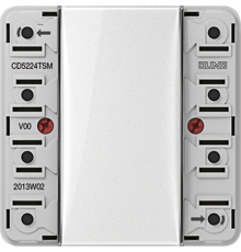 кнопочный модуль 24В 2гр CD5224TSM Jung