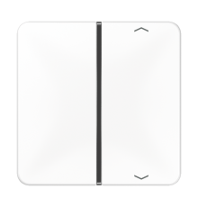 клавиша с символом для пульта KNX, белая, для серии CD  CD401TSAPWW  Jung