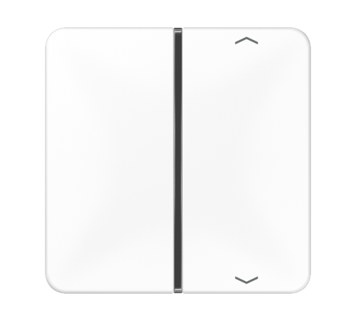 клавиша с символом для пульта KNX, белая, для серии CD  CD401TSAPWW  Jung